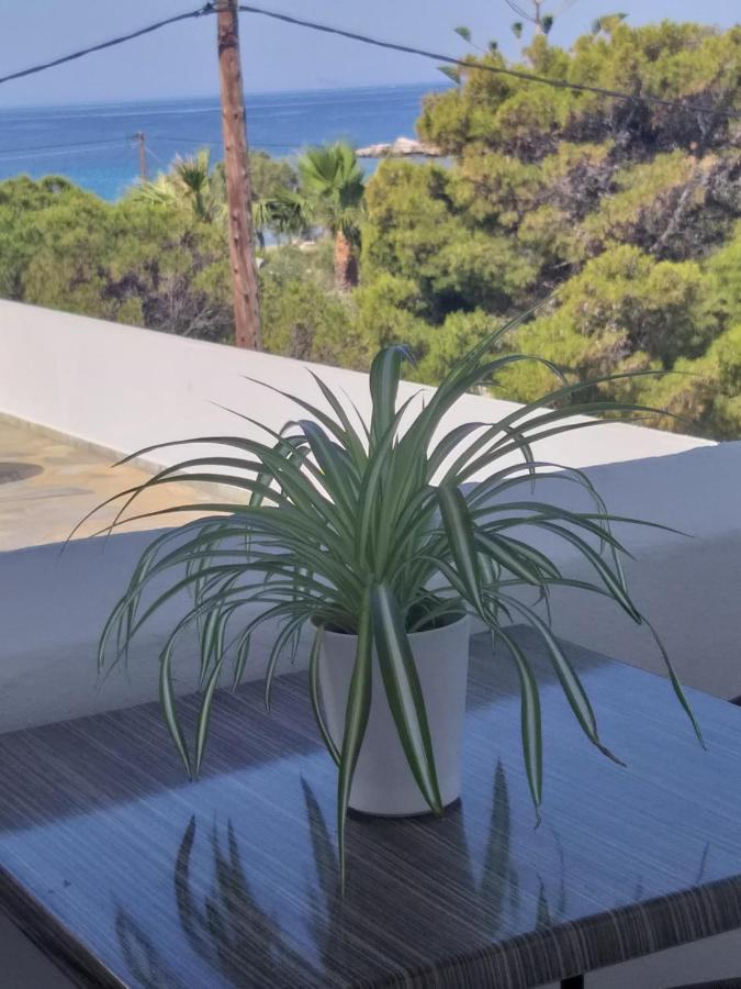 Ferienwohnung Meltemi Posidhonía Exterior foto